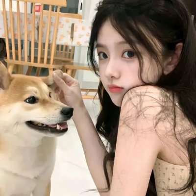 回转企鹅罐 剧场版 前篇