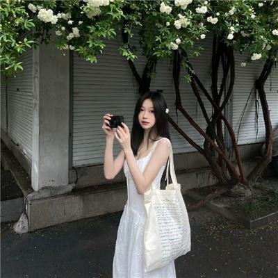 真假学园